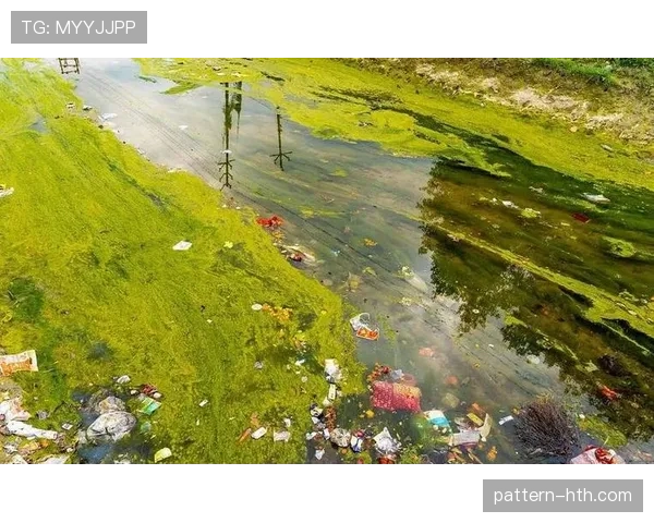 霍村中路渗漏事件引发水质安全担忧，专家呼吁强化监测与治理