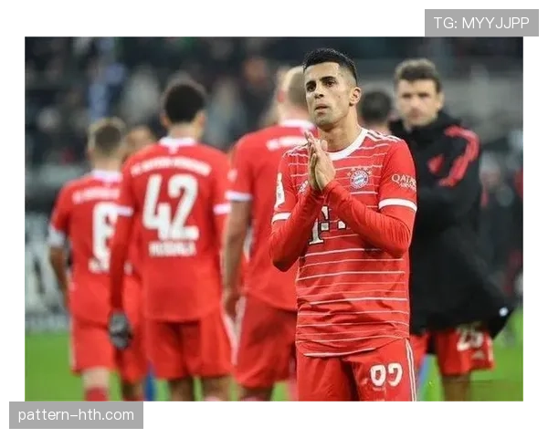 若昂·坎塞洛:本菲卡青训出品技术型边卫解析 若昂·坎塞洛:本菲卡青训出品技术型边卫解析